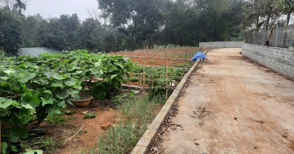 Hướng dẫn cách người dân phán ánh vi phạm đất đai qua đường dây nóng