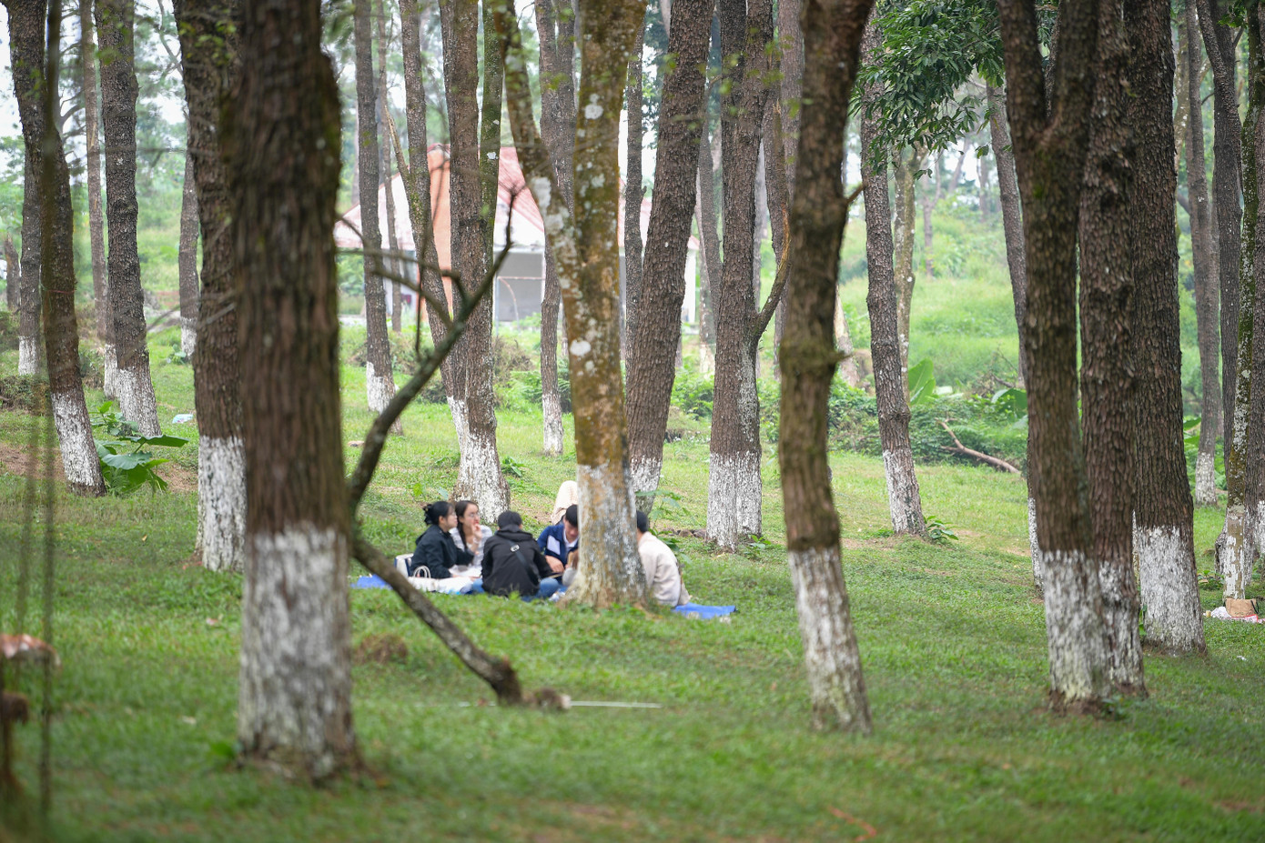 Những điểm cắm trại lý tưởng quanh Hà Nội dịp Tết - Ảnh 3