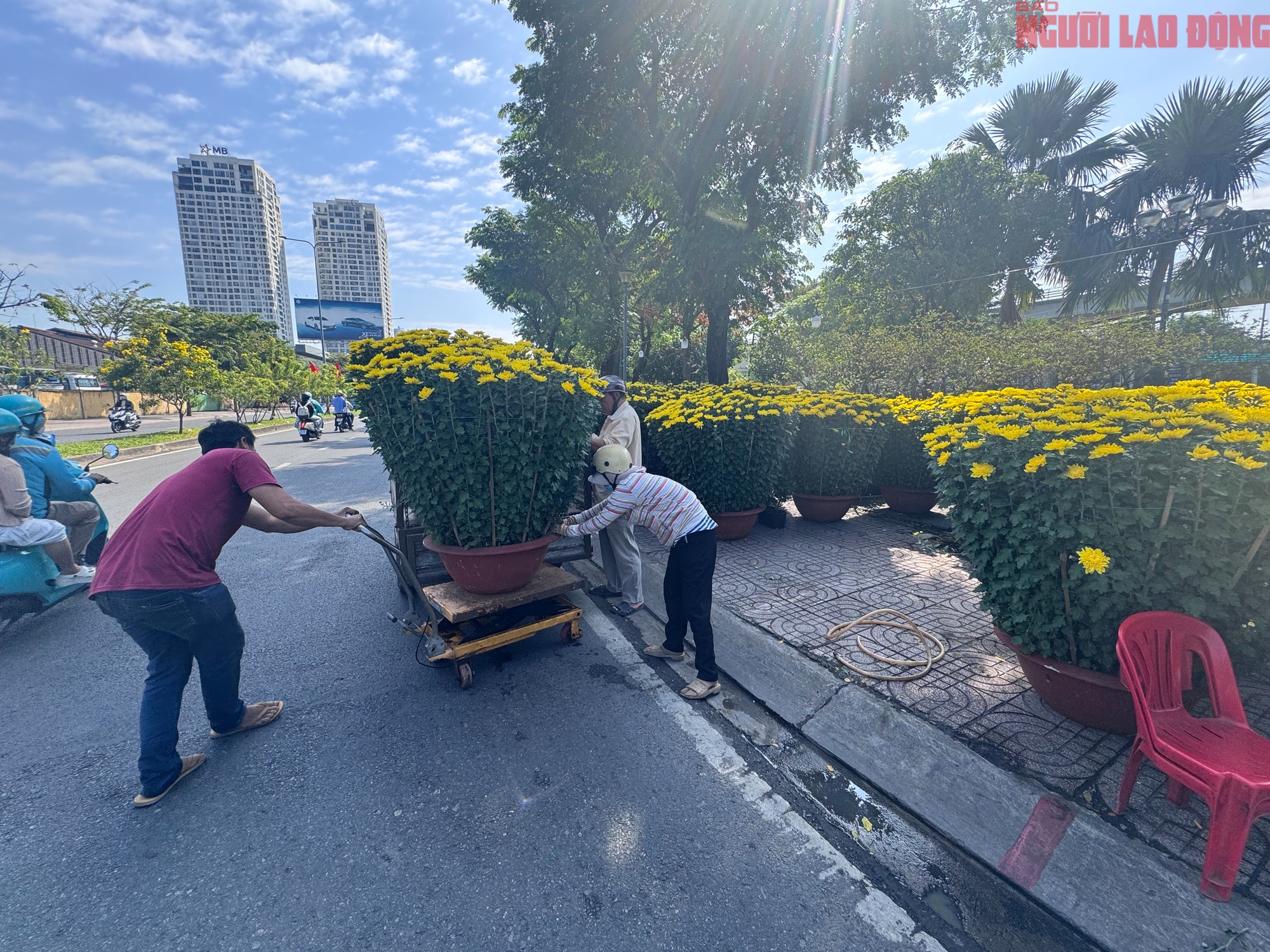 Hoa đào Tết bắt đầu tràn về TPHCM, người mua bất ngờ khi hỏi giá - Ảnh 7