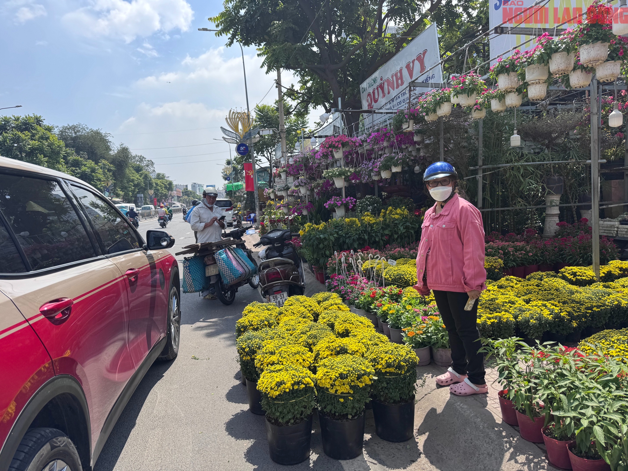 Hoa đào Tết bắt đầu tràn về TPHCM, người mua bất ngờ khi hỏi giá - Ảnh 13