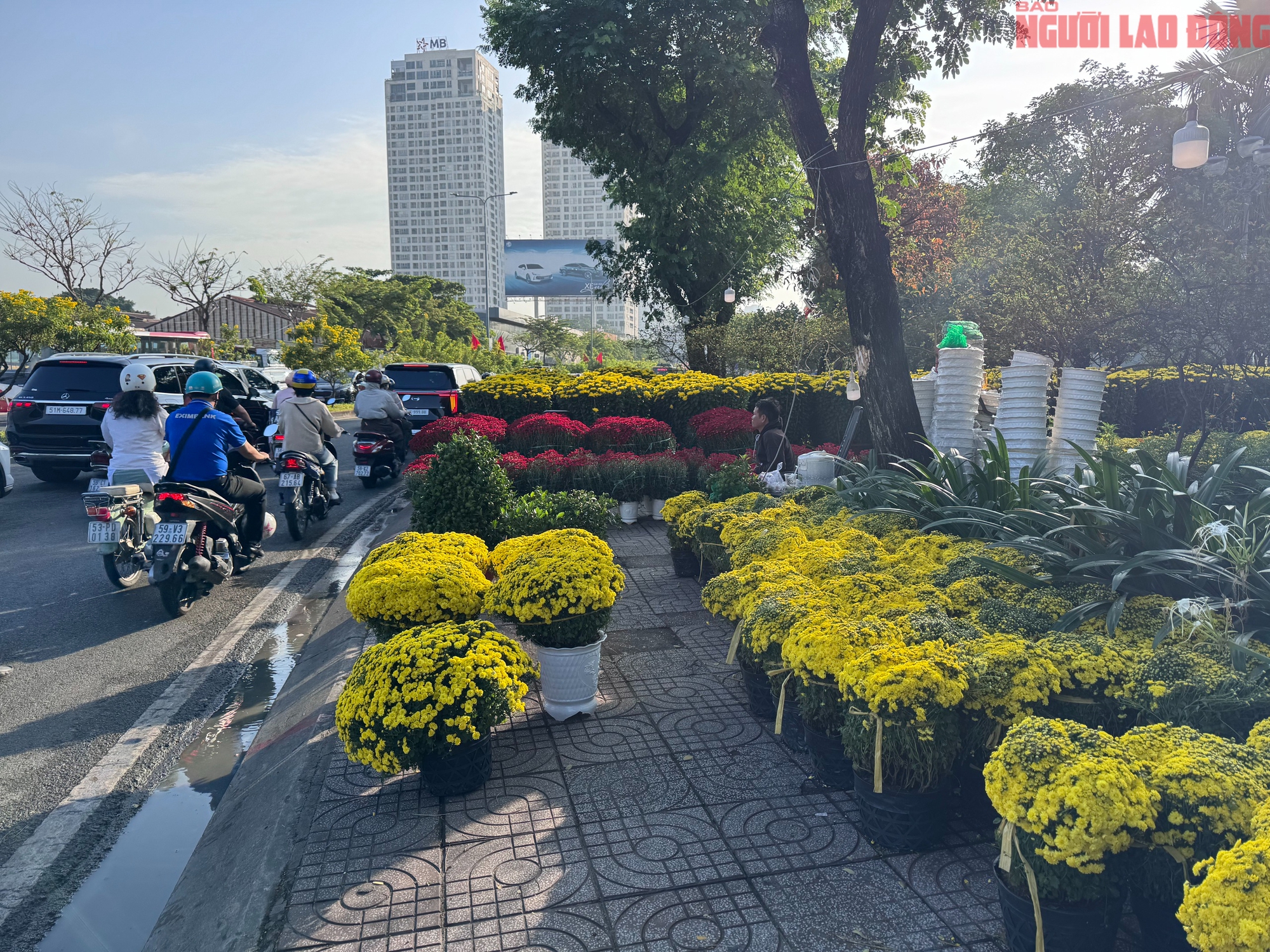 Hoa đào Tết bắt đầu tràn về TPHCM, người mua bất ngờ khi hỏi giá - Ảnh 15