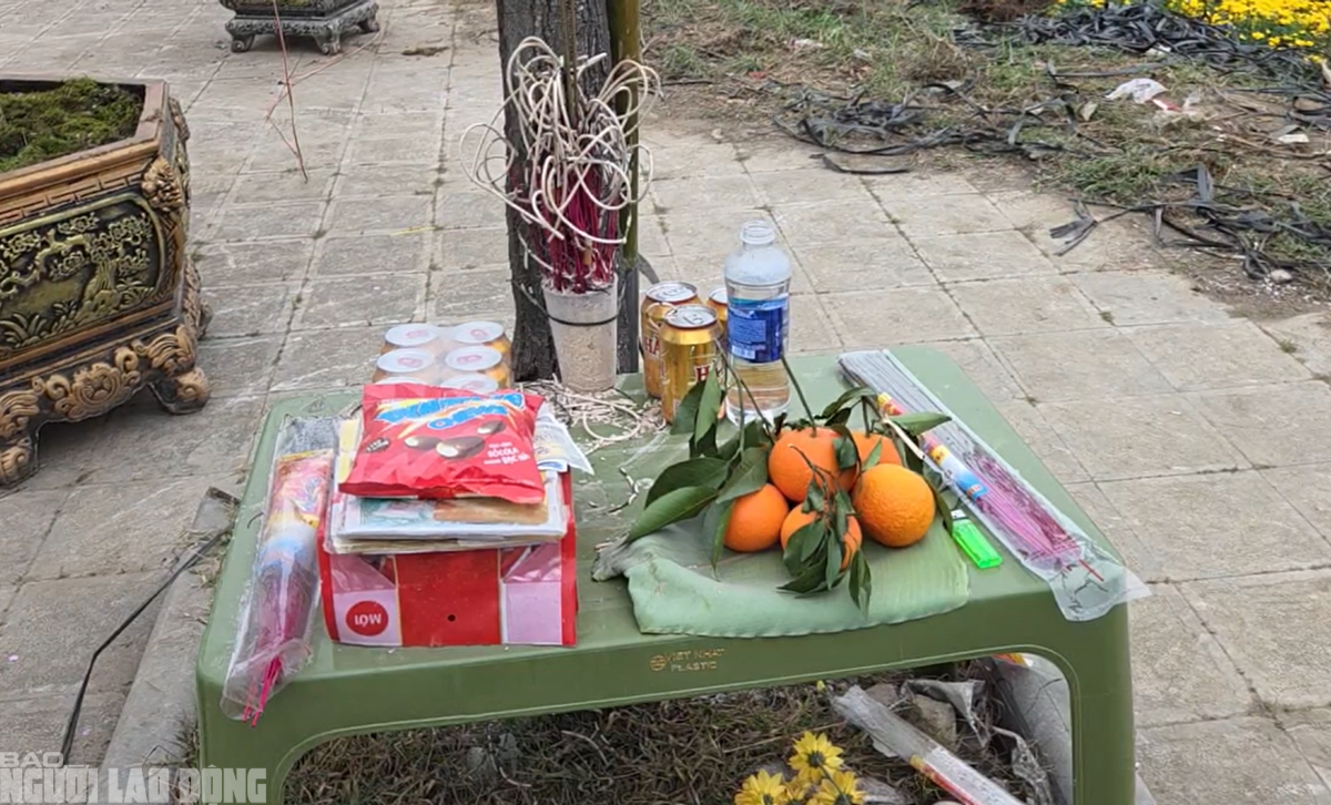 Đào nở thắm phố phường, tiểu thương đành phải chặt bỏ cây không kịp vào Tết - Ảnh 10