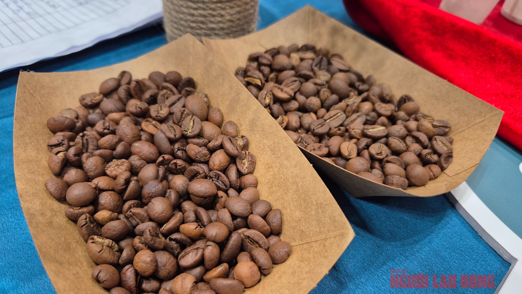 Giá cà phê hôm nay 14-2: Chốt tuần tăng tiếp - Ảnh 1