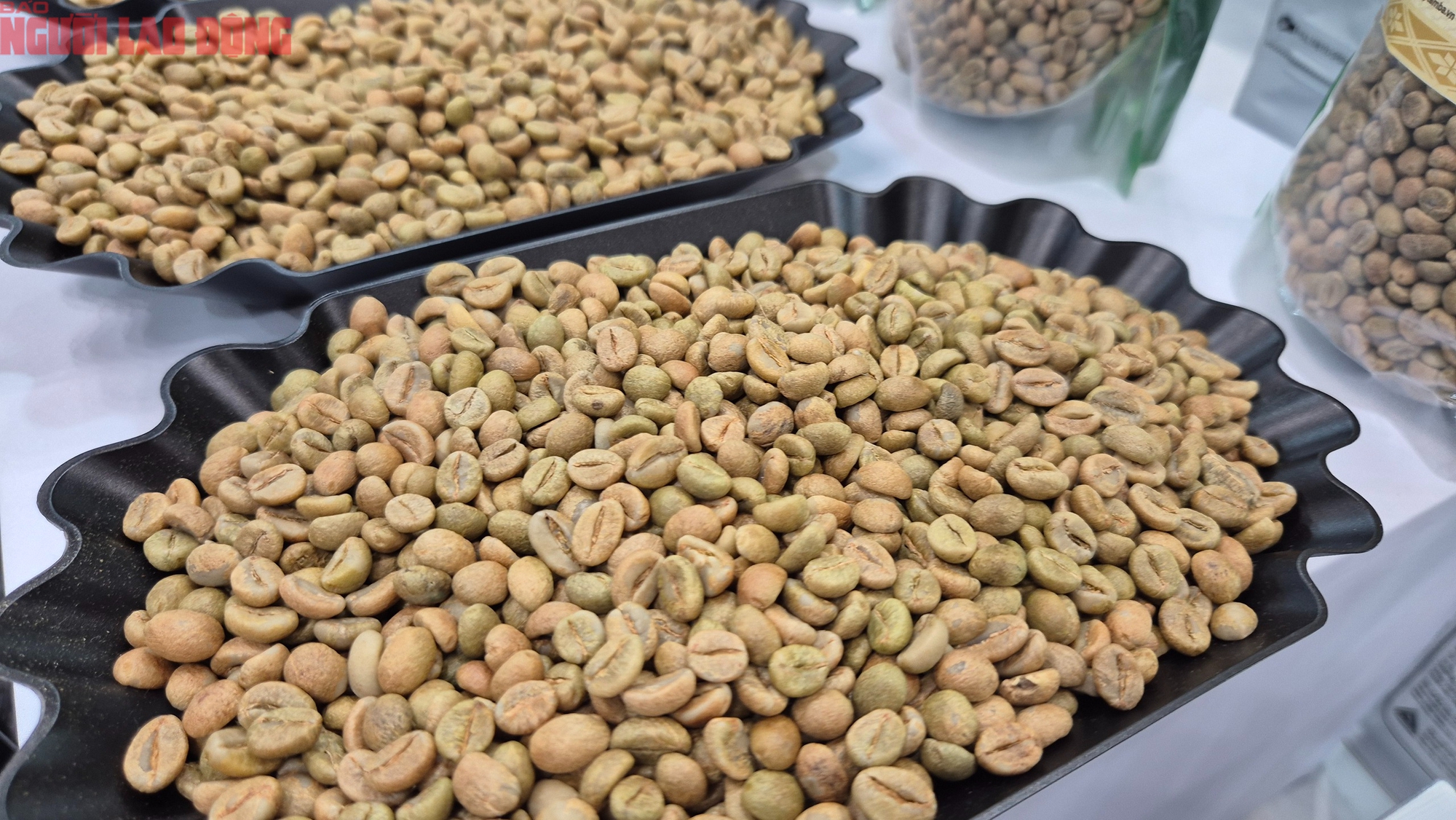 Giá cà phê hôm nay 20-2: Lại giảm bất ngờ - Ảnh 1