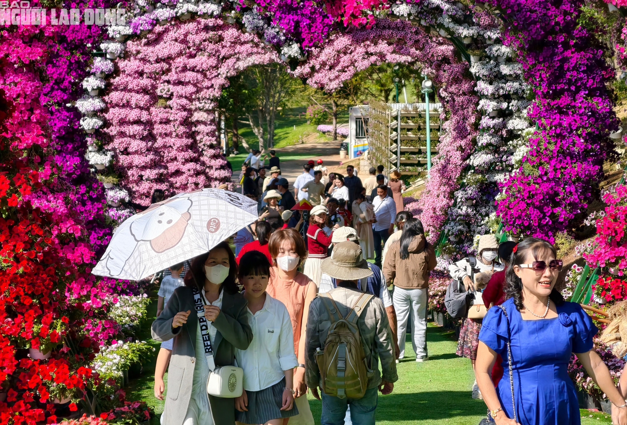 Mùng 6 Tết, Đà Lạt vẫn rộn ràng khách du xuân - Ảnh 9