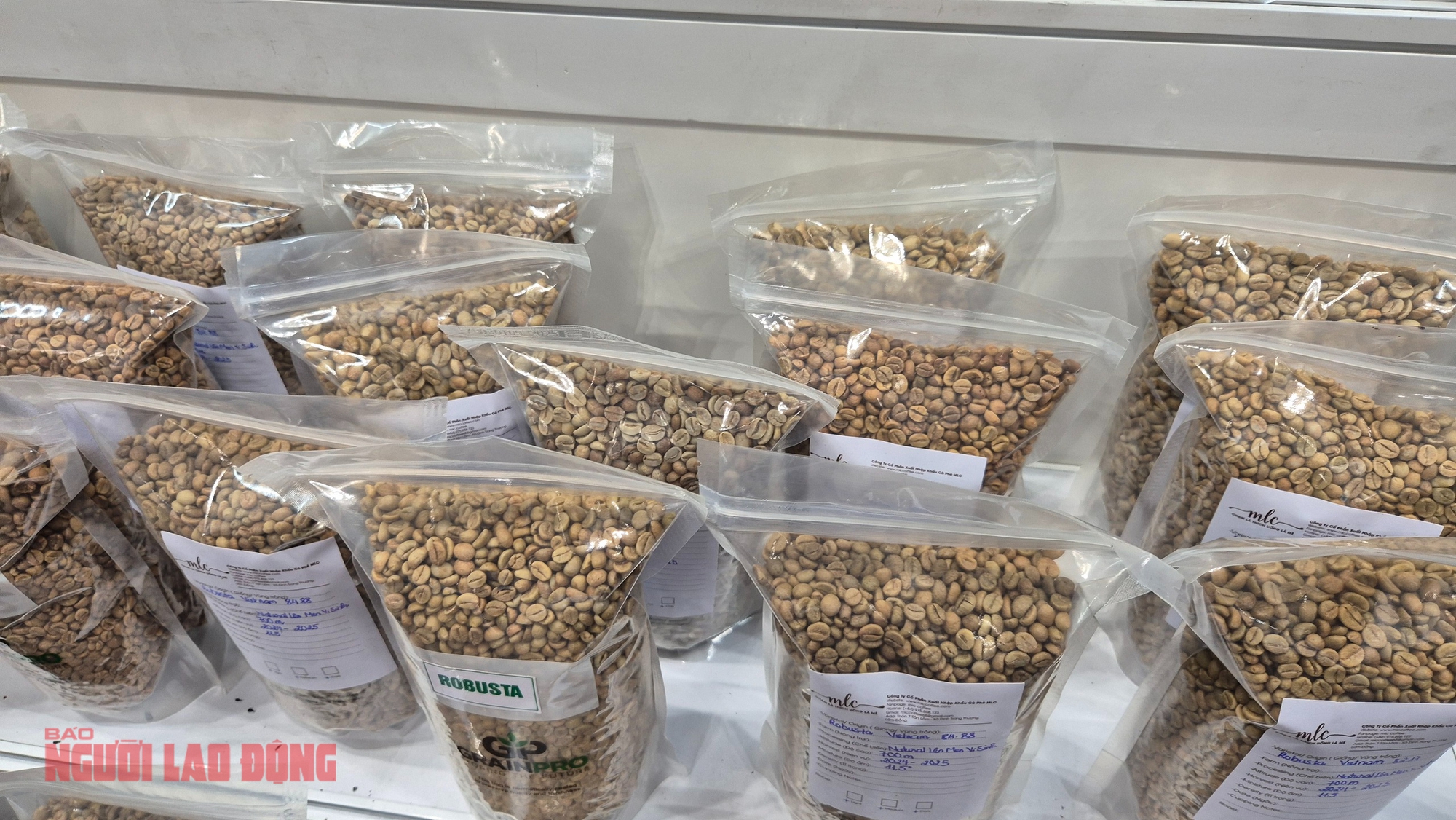 Giá cà phê hôm nay 27-2: Đi lùi, thị trường sắp cân bằng? - Ảnh 1