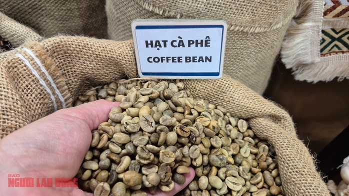 Giá cà phê hôm nay 28-2: Biến động liên tục, Chủ tịch VICOFA nói gì? - Ảnh 1