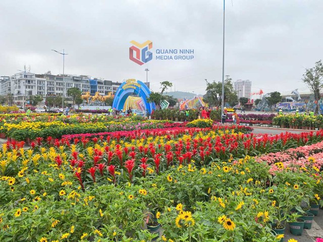 Ngày mai, một sự kiện đặc biệt sẽ diễn ra tại Quảng Ninh - Ảnh 3