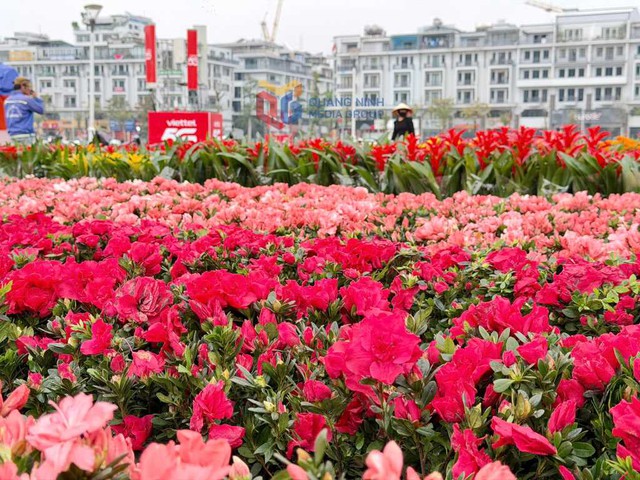 Ngày mai, một sự kiện đặc biệt sẽ diễn ra tại Quảng Ninh - Ảnh 4