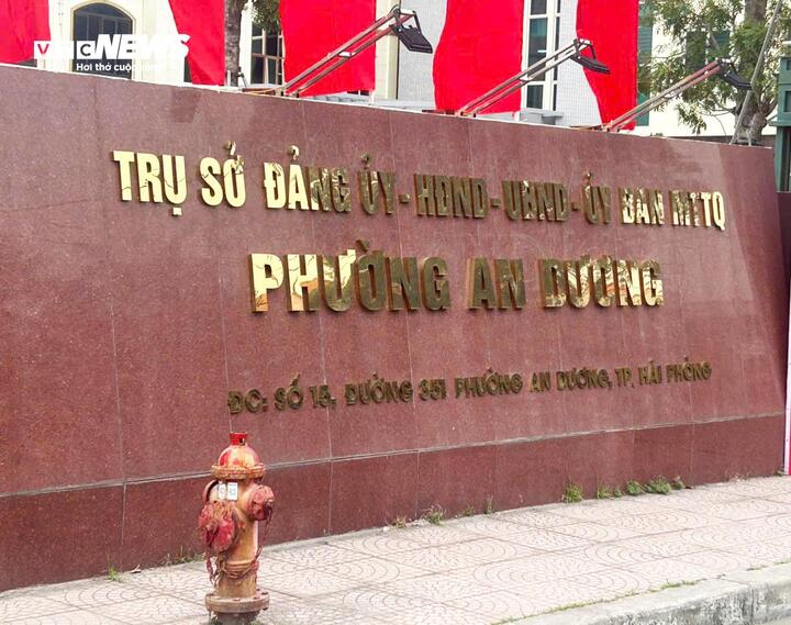 Hải Phòng yêu cầu báo cáo vụ người dân khổ sở vì hai chữ ‘thổ cư’ trong bìa đỏ - Ảnh 1