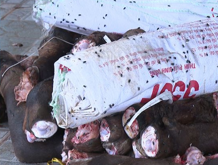 Phát hiện 2 kho lạnh chứa gần 6 tấn đuôi, chân trâu bò bốc mùi thối ở Thanh Hoá - Ảnh 2