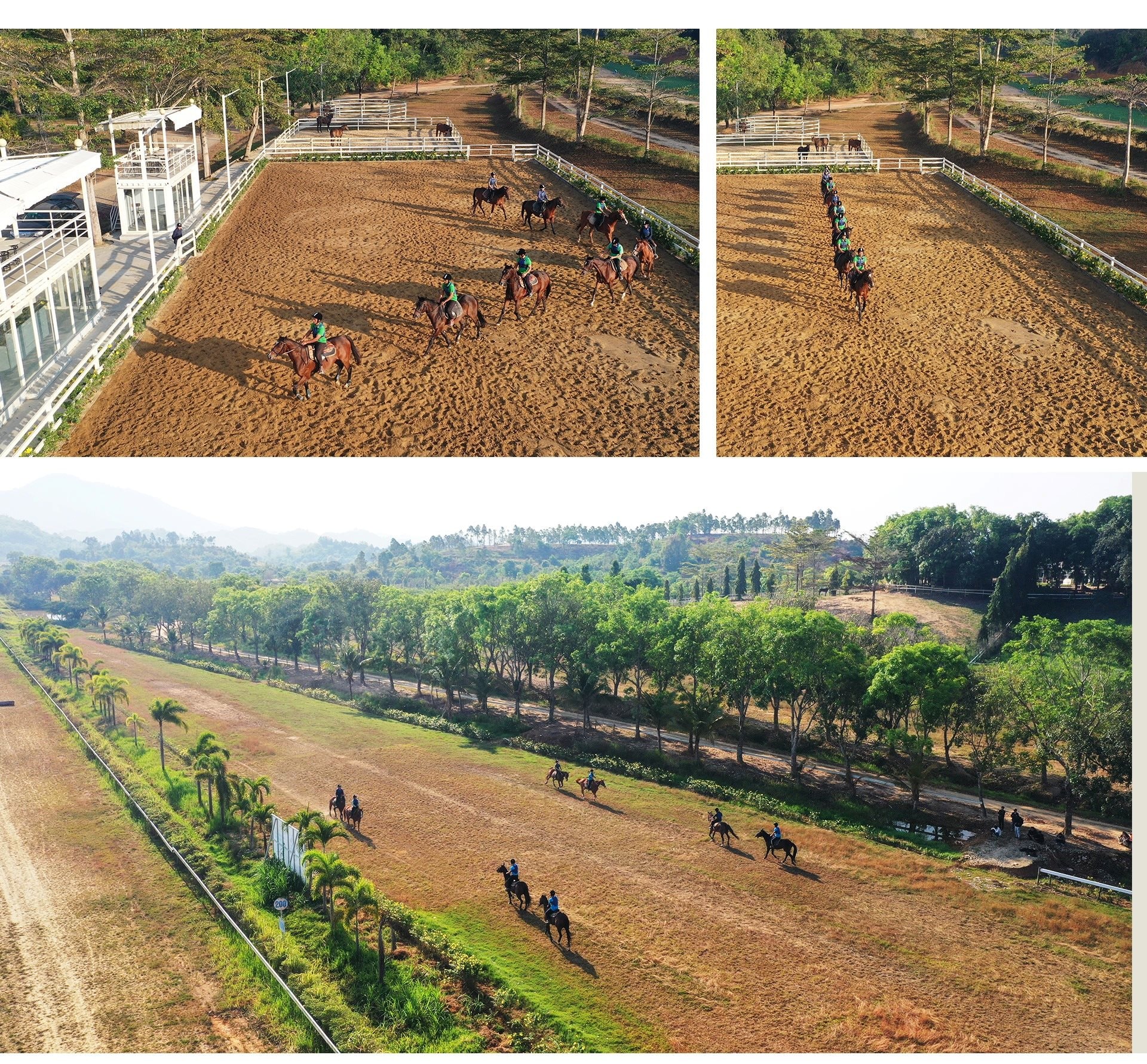 Cụ ông U80 quê Hà Tĩnh: 76 tuổi vẫn làm Chủ tịch 'cầm trịch' dự án trường đua ngựa 1.550 tỷ đồng - Ảnh 5