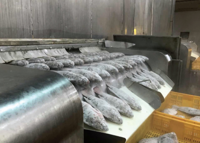 Kho báu dưới nước của Việt Nam 'hớp hồn' Mỹ, Brazil: thu về gần 100 triệu USD, một DN xuất khẩu có lợi nhuận tăng gấp 21 lần - Ảnh 1