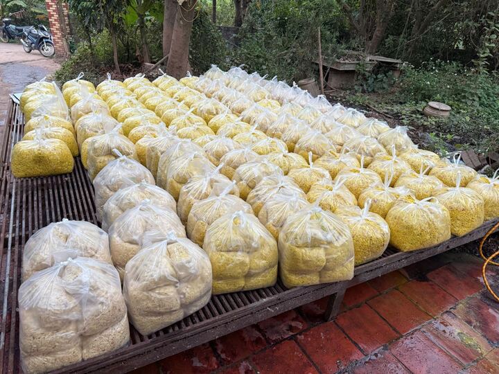 Trộn chất gây ung thư vào gần 2 tấn riềng xay bán ra chợ ở Bắc Ninh - Ảnh 2