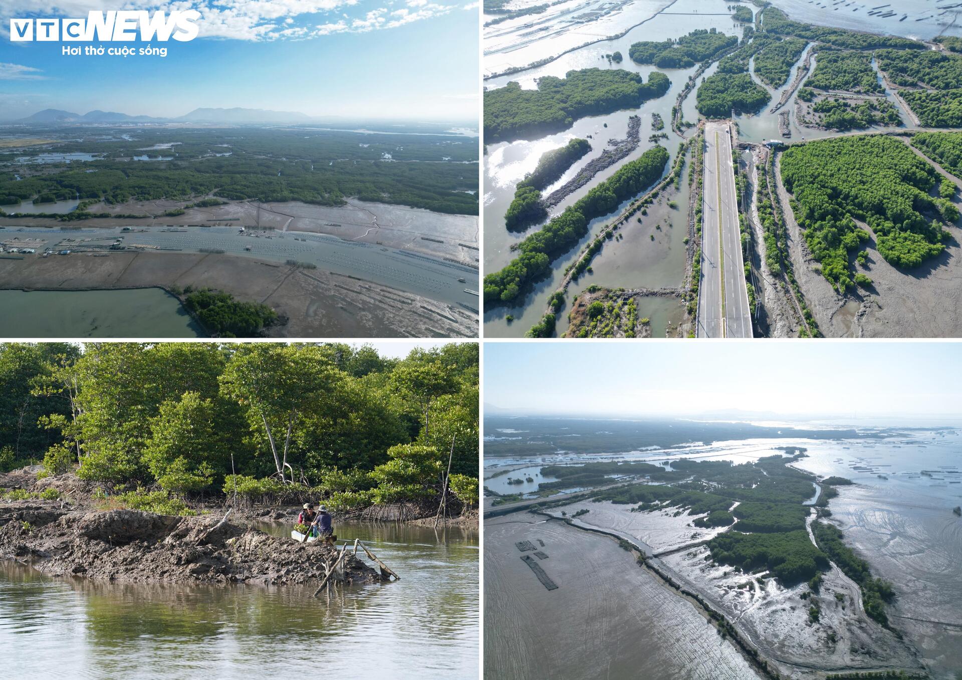 Cận cảnh dự án Cảng Cái Mép Hạ vừa được phê duyệt đầu tư gần 2 tỷ USD - Ảnh 3