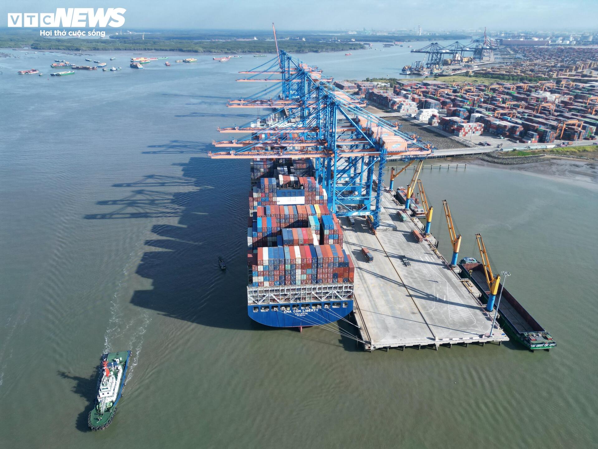Cận cảnh dự án Cảng Cái Mép Hạ vừa được phê duyệt đầu tư gần 2 tỷ USD - Ảnh 8