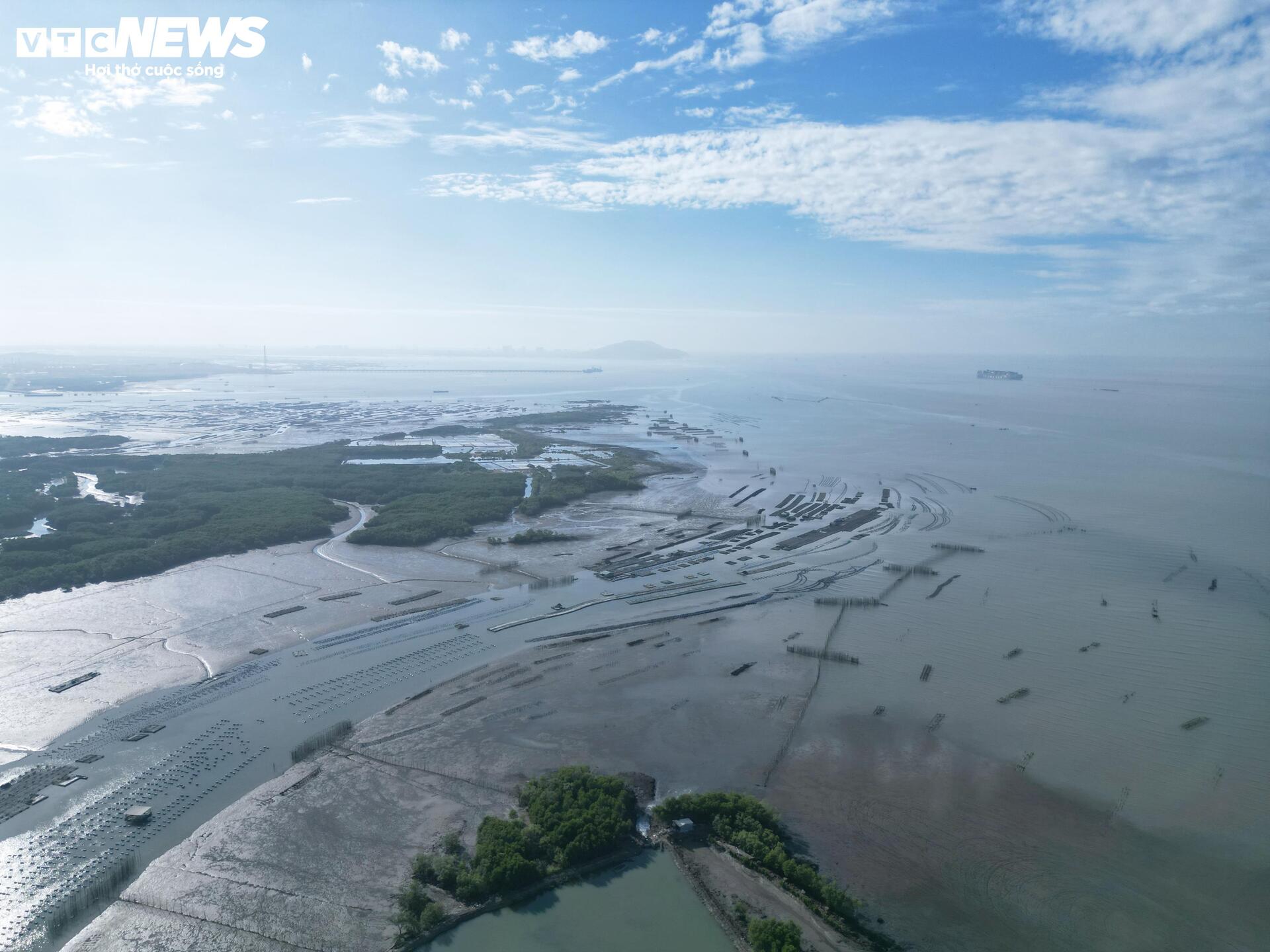 Cận cảnh dự án Cảng Cái Mép Hạ vừa được phê duyệt đầu tư gần 2 tỷ USD - Ảnh 7