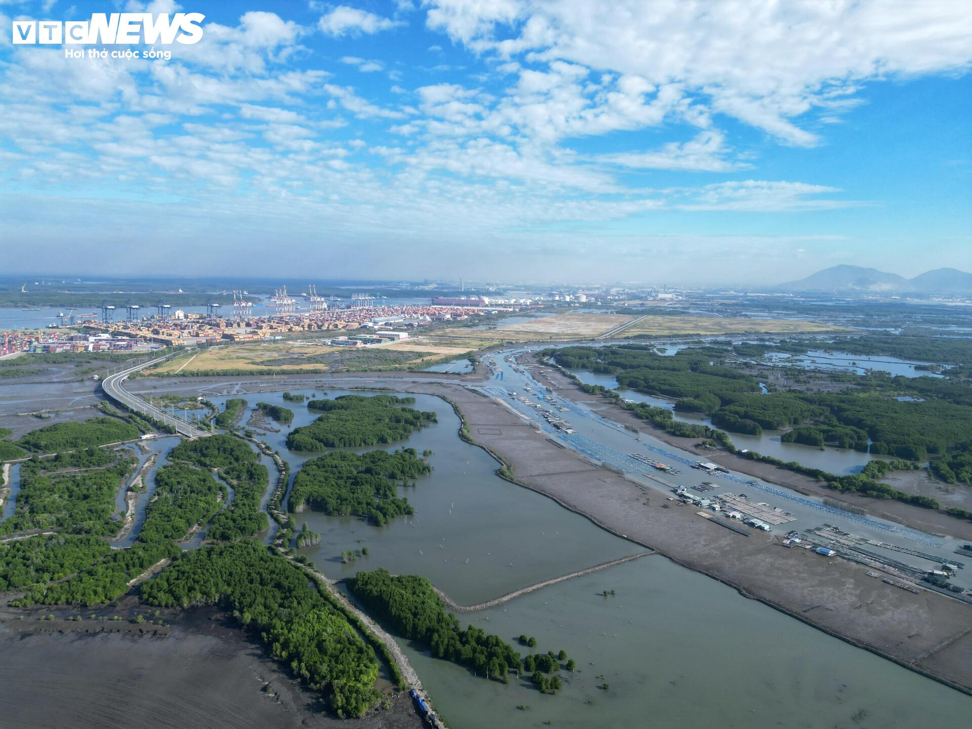 Cận cảnh dự án Cảng Cái Mép Hạ vừa được phê duyệt đầu tư gần 2 tỷ USD - Ảnh 11