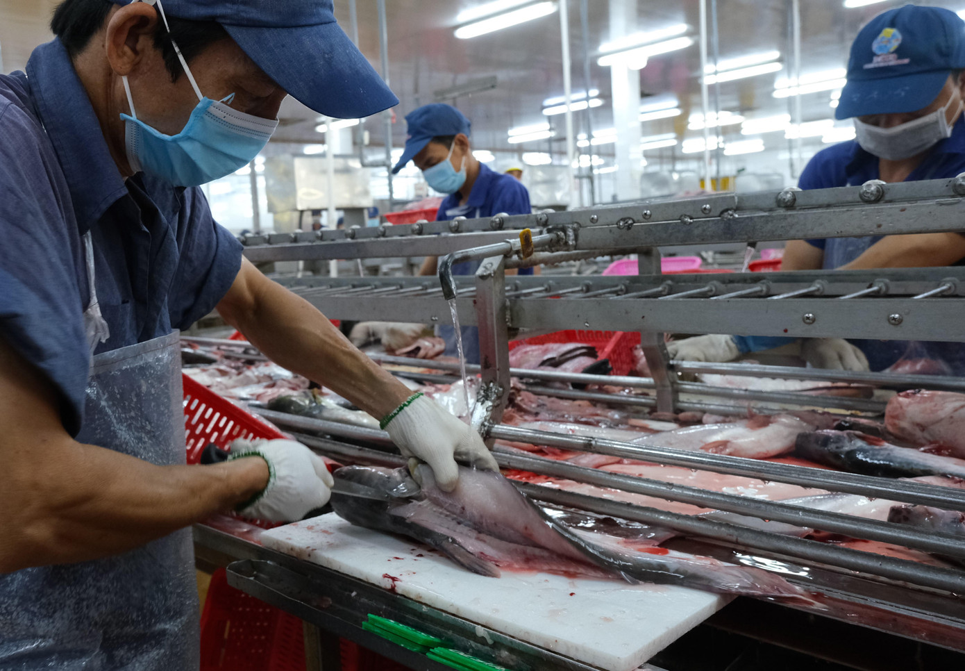 Thấy gì từ kỷ lục xuất khẩu thủy sản 11 tỷ USD? - Ảnh 1