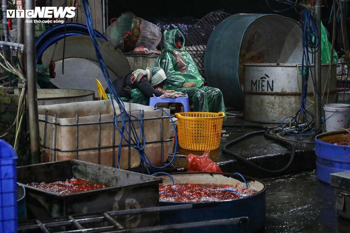 Giá cá chép tiễn ông Công ông Táo giảm, chợ lớn nhất Hà Nội vẫn vắng khách mua - Ảnh 9