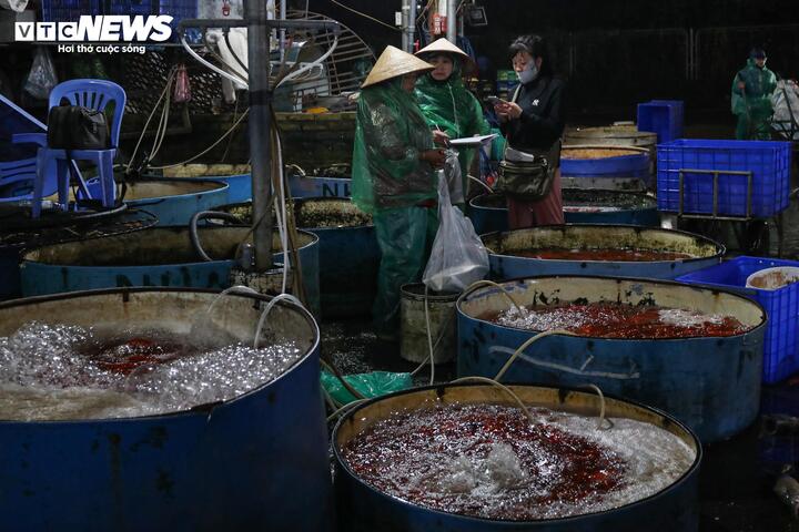 Giá cá chép tiễn ông Công ông Táo giảm, chợ lớn nhất Hà Nội vẫn vắng khách mua - Ảnh 7