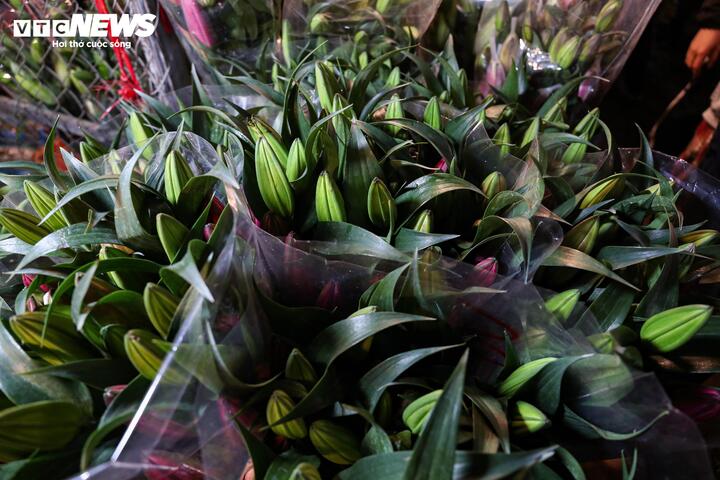 Biển người đi sắm Tết, chợ hoa lớn nhất miền Bắc tấp nập suốt đêm - Ảnh 12