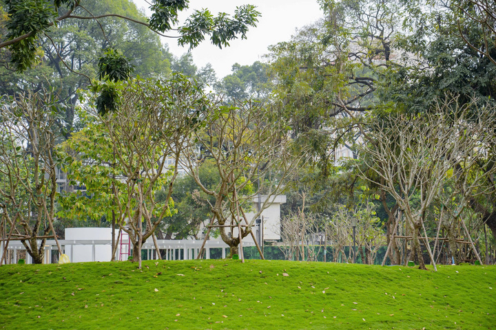 Cách TP.HCM 'đánh thức' những khu đất vàng bị 'quây tôn' giữa lòng đô thị - Ảnh 9