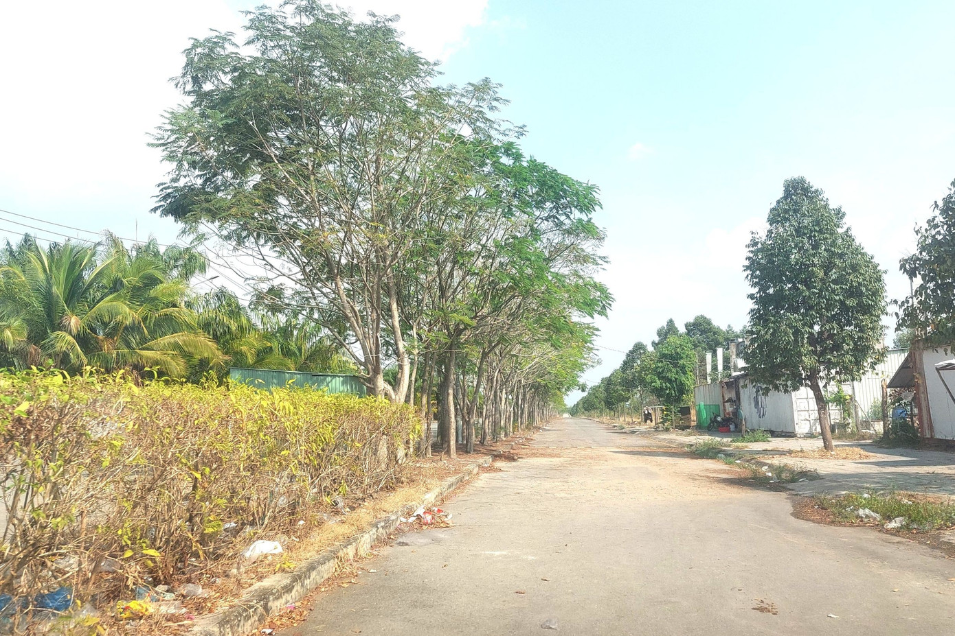 Hiện trạng Khu dân cư từng bố trí đất xây trung tâm chữa bệnh miễn phí cho ‘thần y’ - Ảnh 15