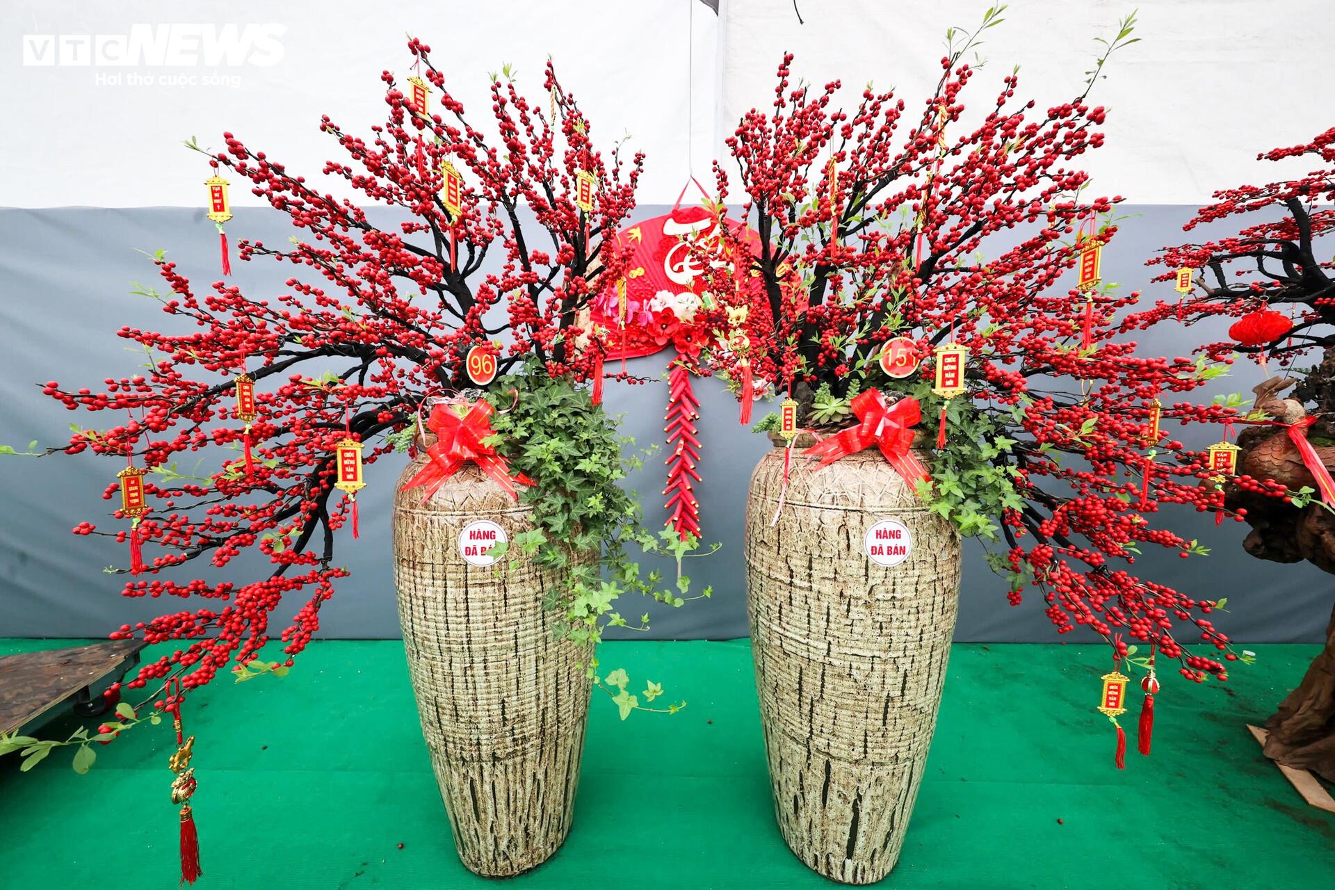 Đào đông khoe sắc đỏ rực đón Tết, giá lên đến vài trăm triệu đồng - Ảnh 12