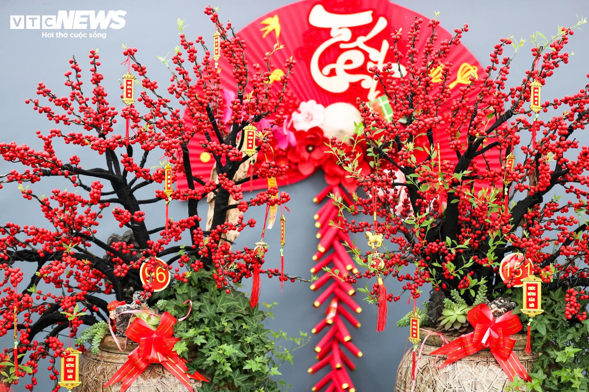 Đào đông khoe sắc đỏ rực đón Tết, giá lên đến vài trăm triệu đồng - Ảnh 1