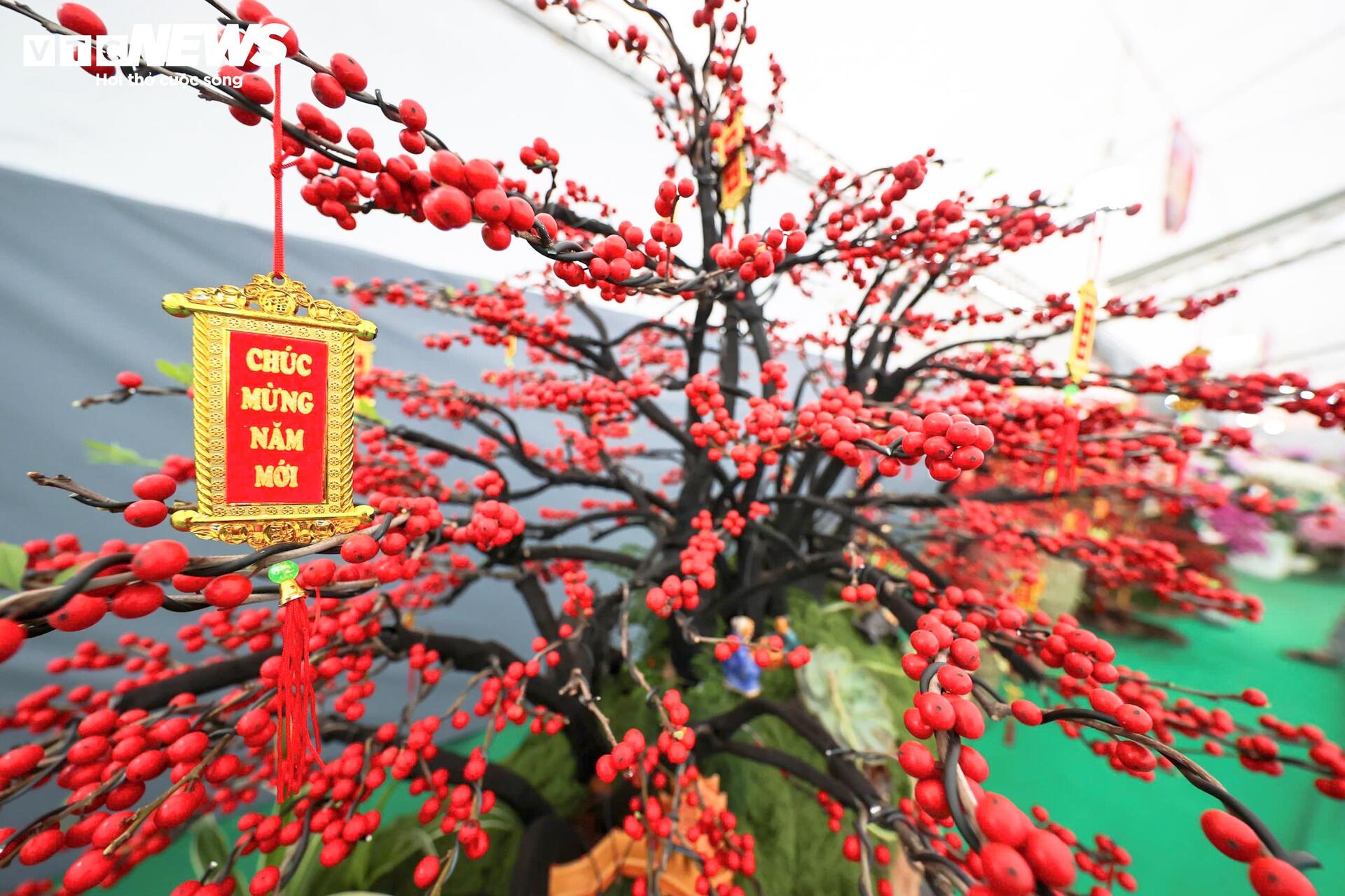 Đào đông khoe sắc đỏ rực đón Tết, giá lên đến vài trăm triệu đồng - Ảnh 5