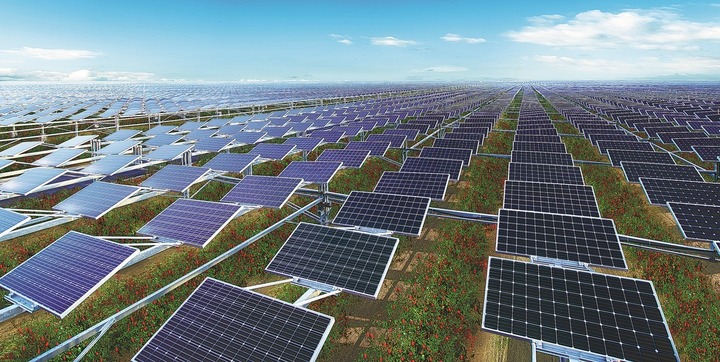 Điện mặt trời biến sa mạc thành đất xanh - Ảnh 2