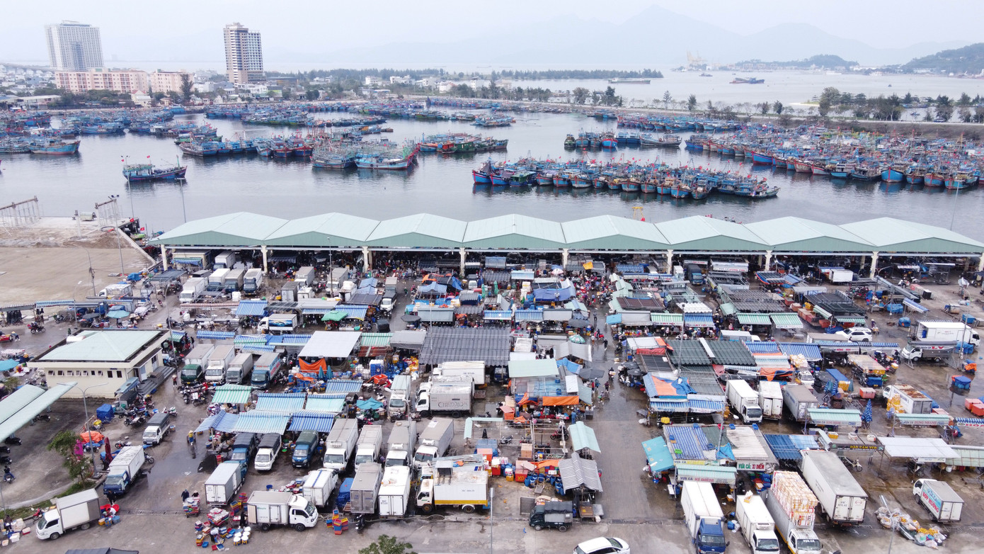 Cảng cá lớn nhất miền Trung sẽ thành cảng du lịch - Ảnh 2