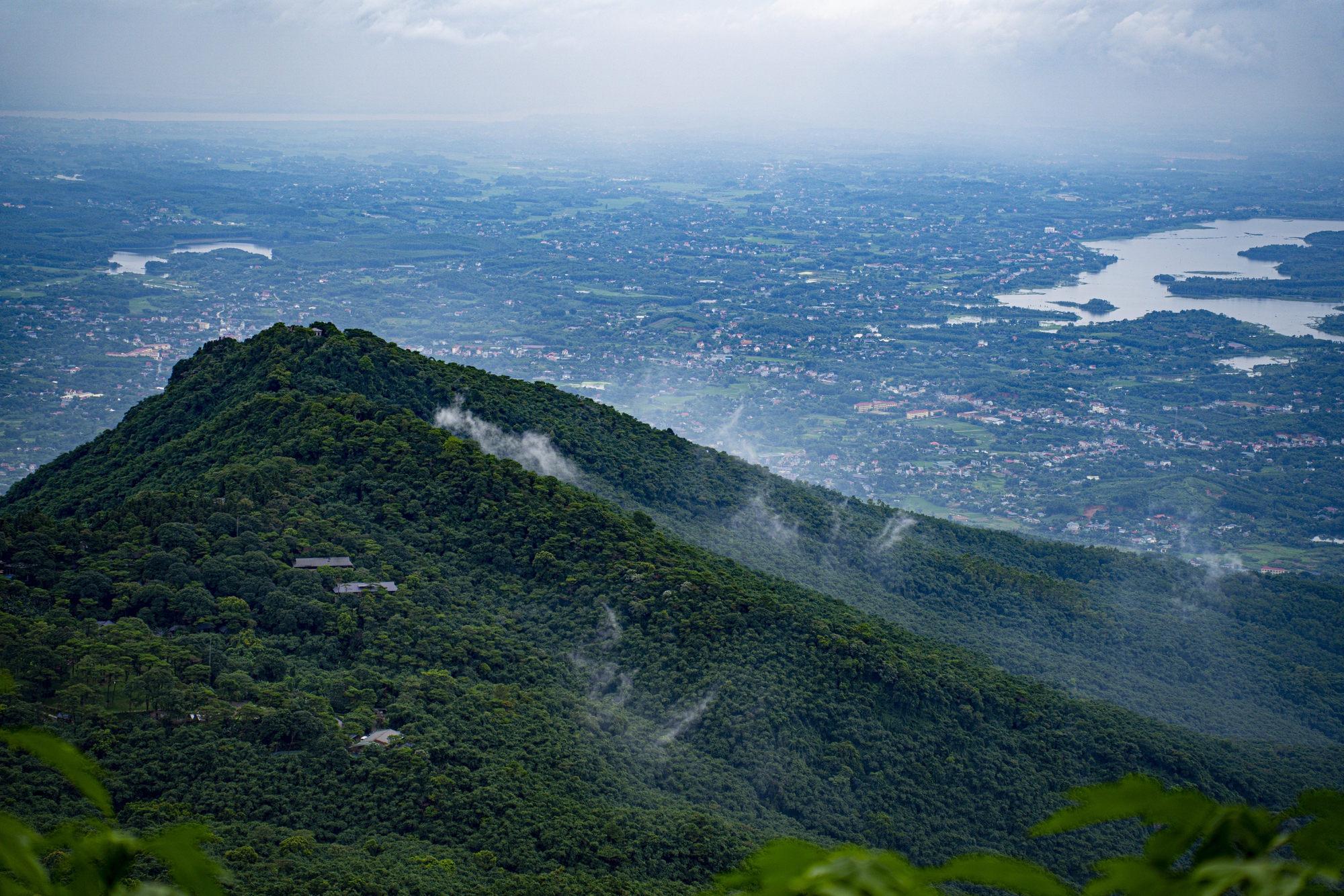 THACO của tỷ phú Trần Bá Dương muốn đầu tư vùng trồng sâm Ngọc Linh và dược liệu quy mô 3.500 ha - Ảnh 1