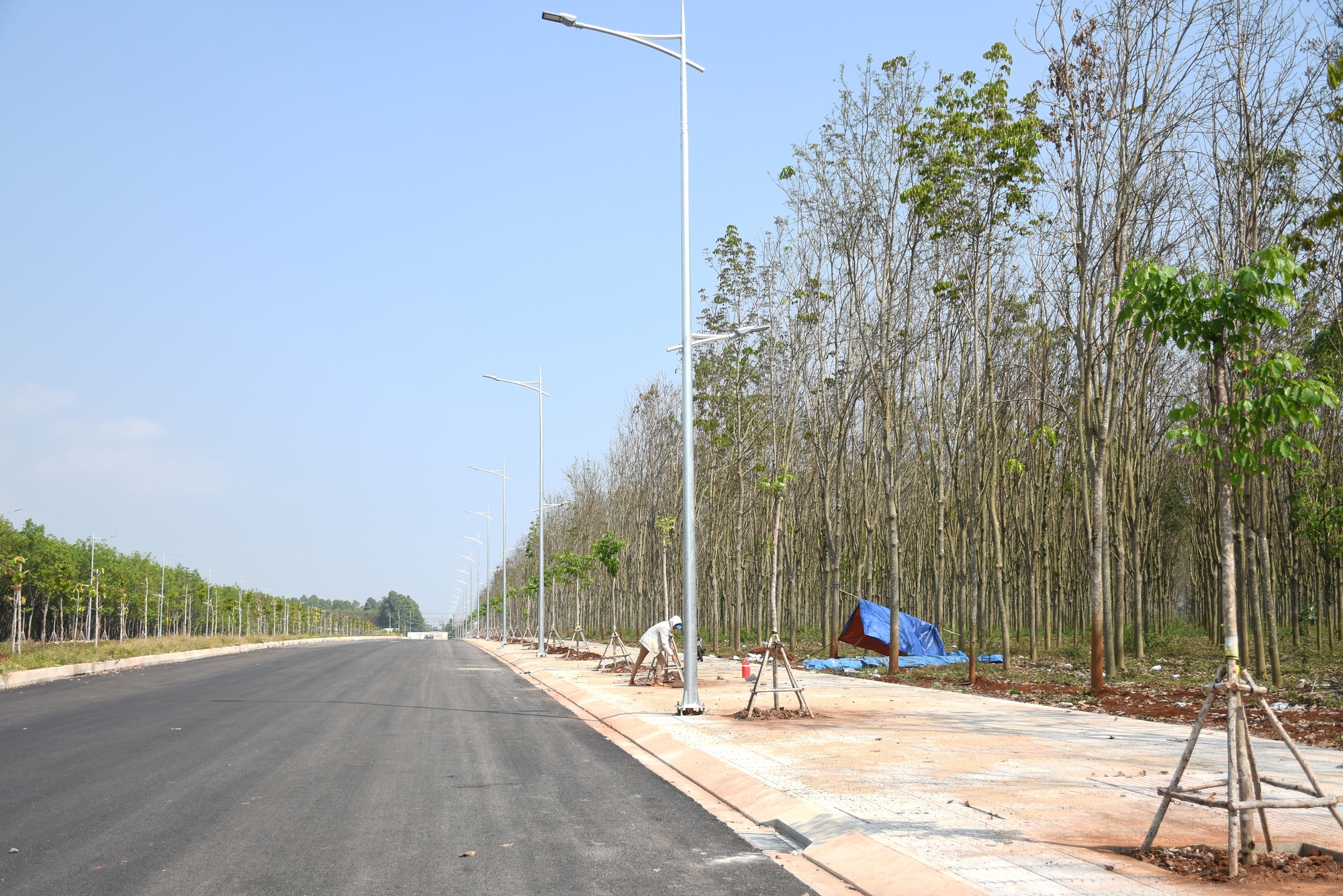 2 dự án cầu, đường ngàn tỉ ở Đồng Nai vừa thông xe - Ảnh 3