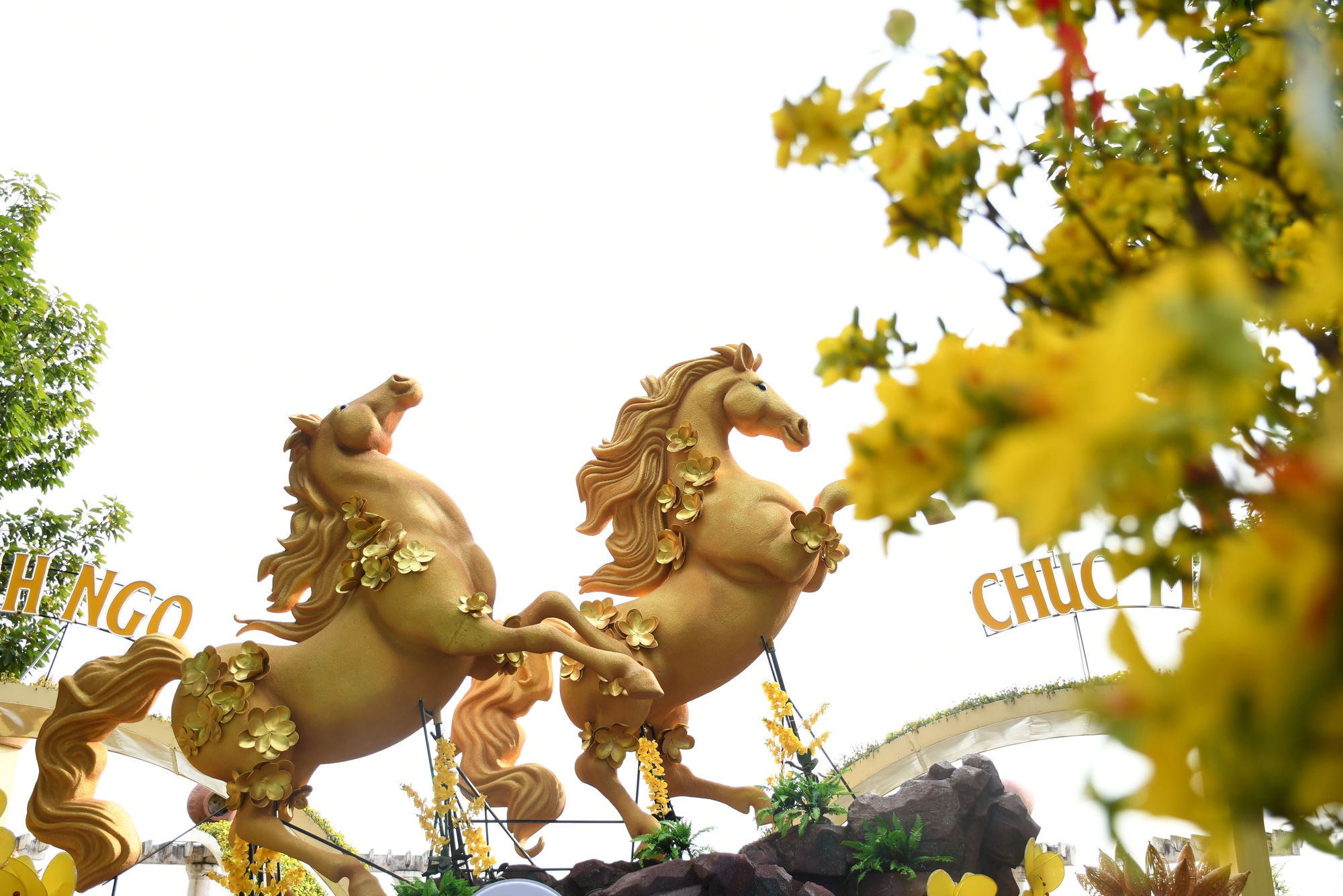 Cận cảnh đường hoa ven sông Đồng Nai "vạn người mê" - Ảnh 4