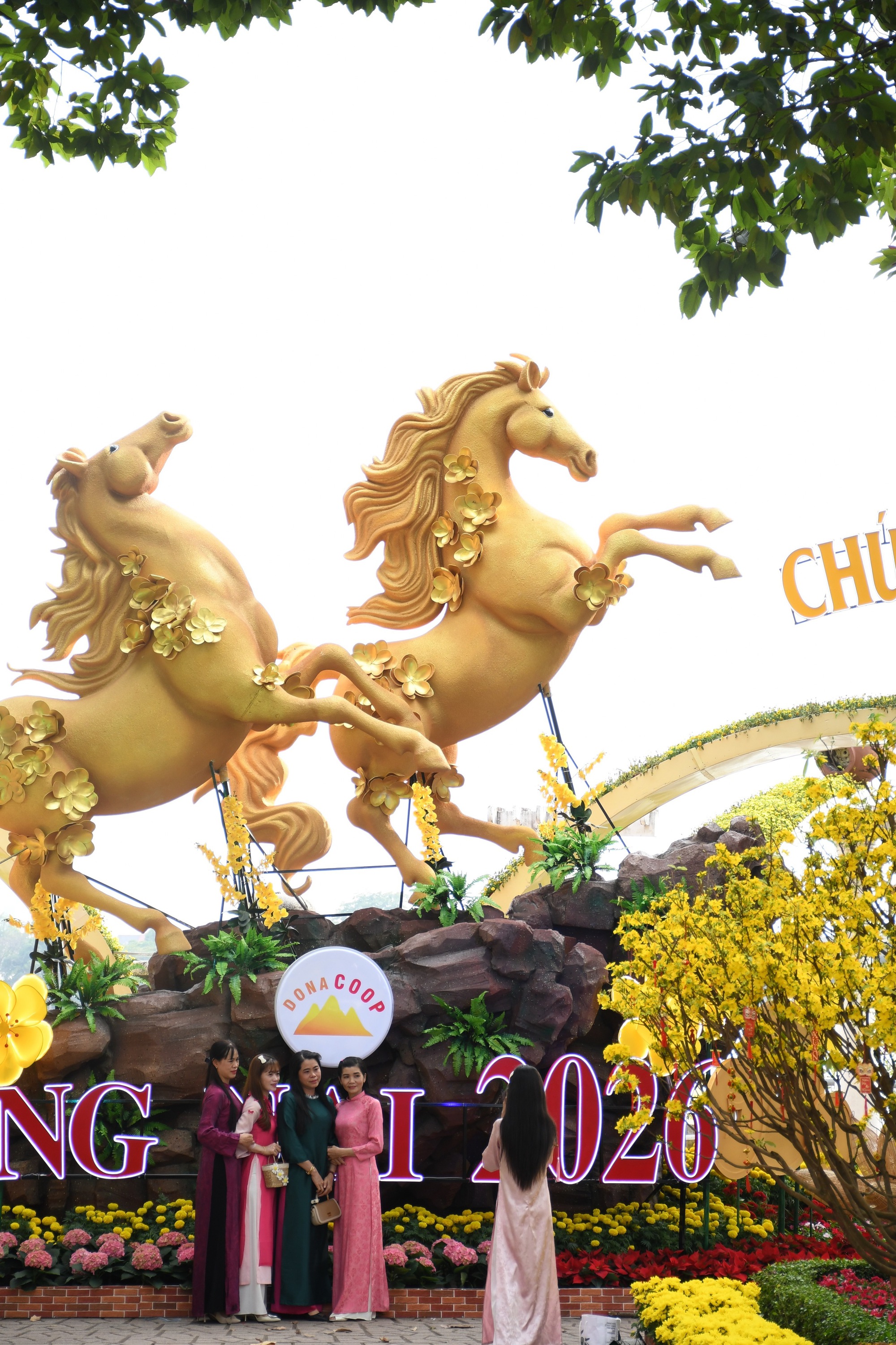 Cận cảnh đường hoa ven sông Đồng Nai "vạn người mê" - Ảnh 1