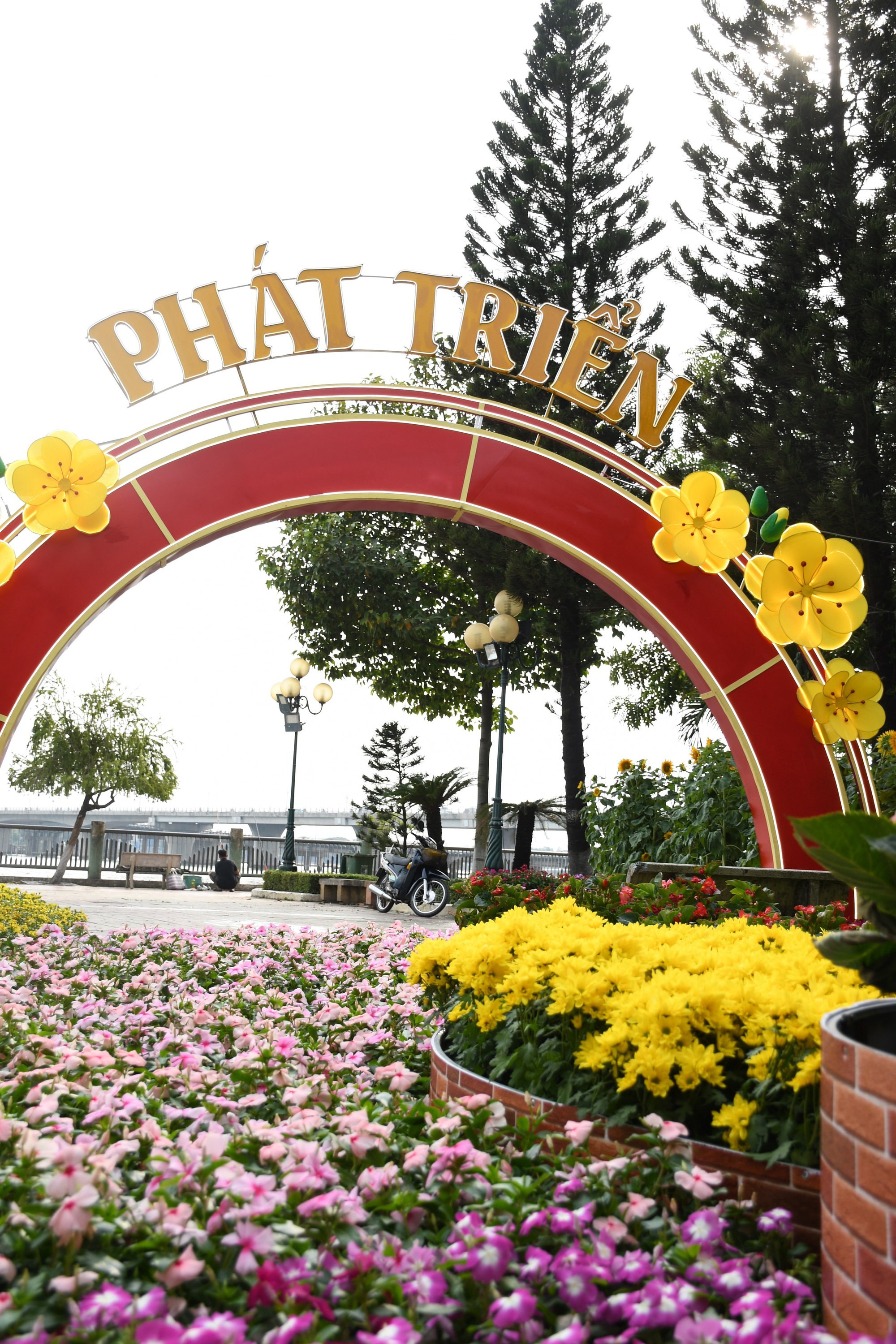 Cận cảnh đường hoa ven sông Đồng Nai "vạn người mê" - Ảnh 8