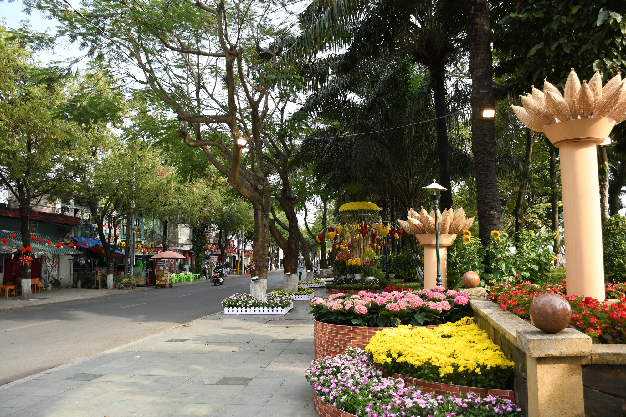 Cận cảnh đường hoa ven sông Đồng Nai "vạn người mê" - Ảnh 5