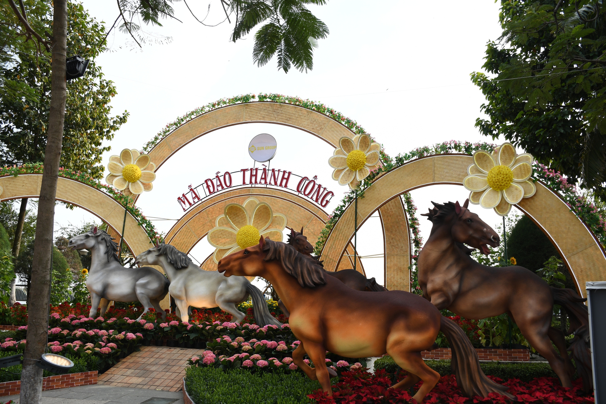 Cận cảnh đường hoa ven sông Đồng Nai "vạn người mê" - Ảnh 14