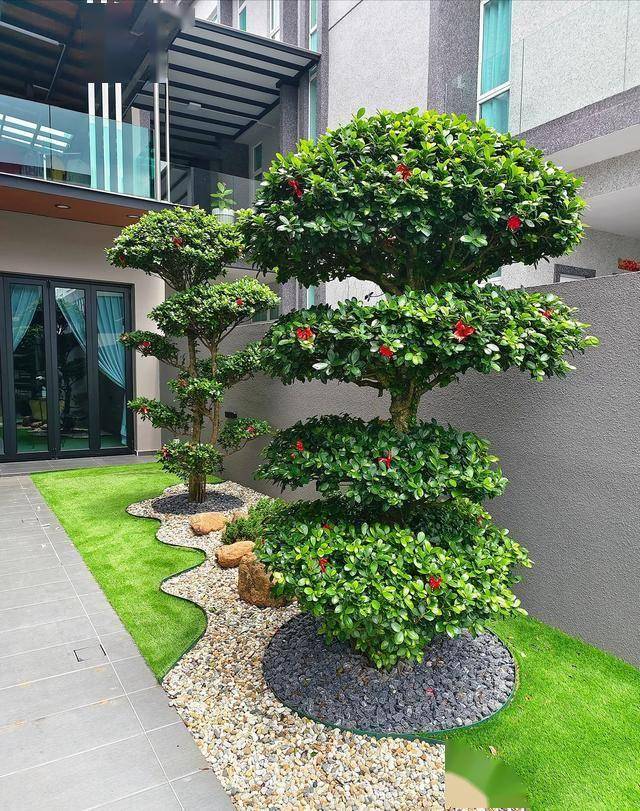 Người xưa dặn "Cây âm không vào nhà, cây dương không trồng mộ": Nghe thì tâm linh nhưng sự thật lại vô cùng khoa học! - Ảnh 1