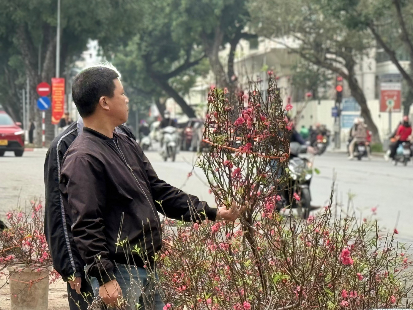 Bộ Tài chính thông tin về giá cả thị trường Tết - Ảnh 2