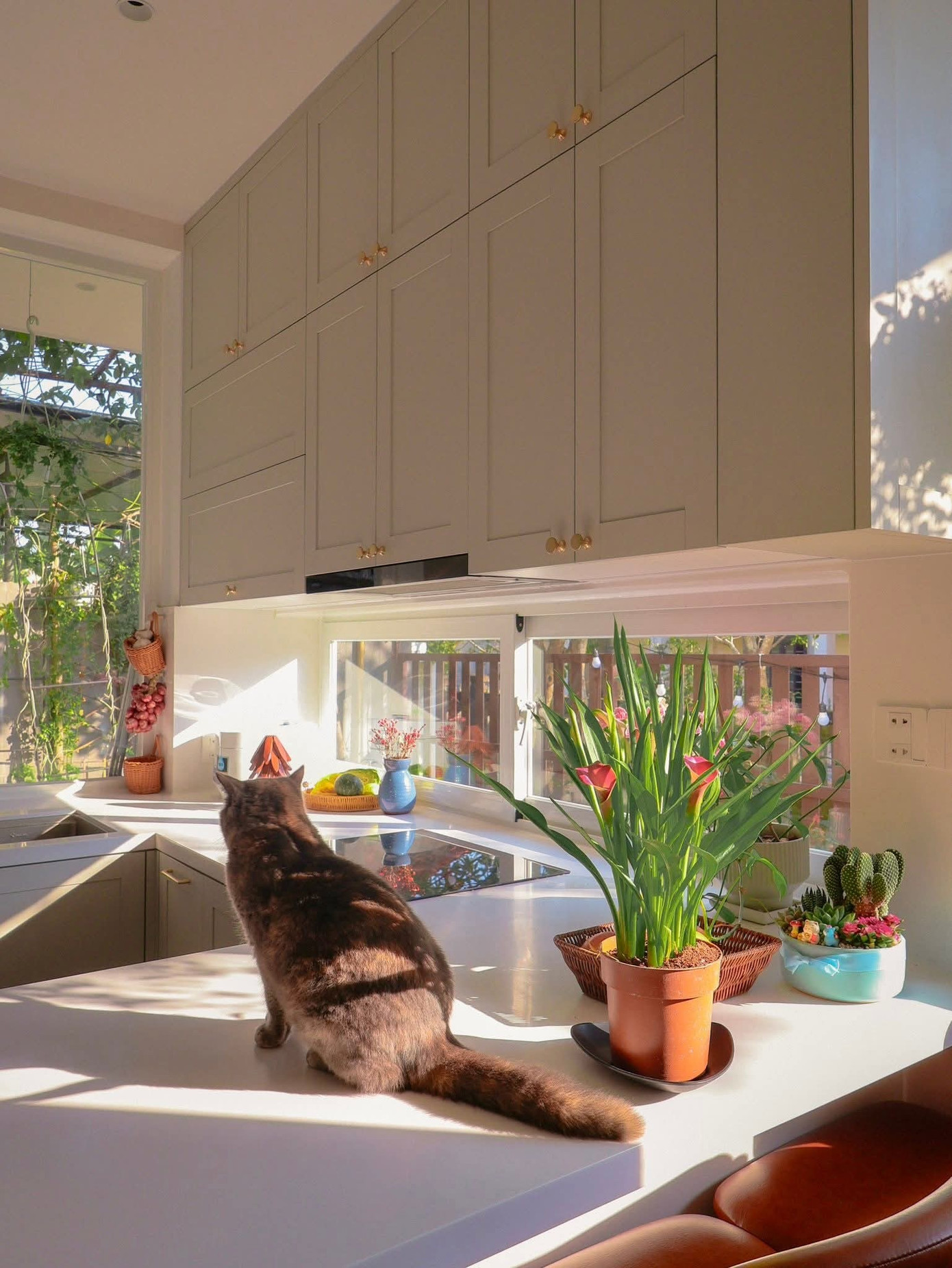 Không gian với góc nhà đầy hoa lá, tràn ngập ánh sáng - Ảnh 11