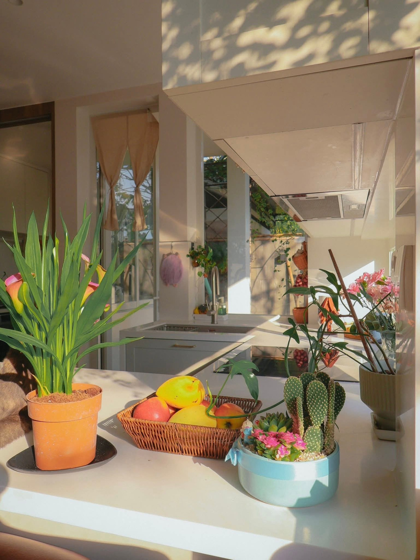 Không gian với góc nhà đầy hoa lá, tràn ngập ánh sáng - Ảnh 10