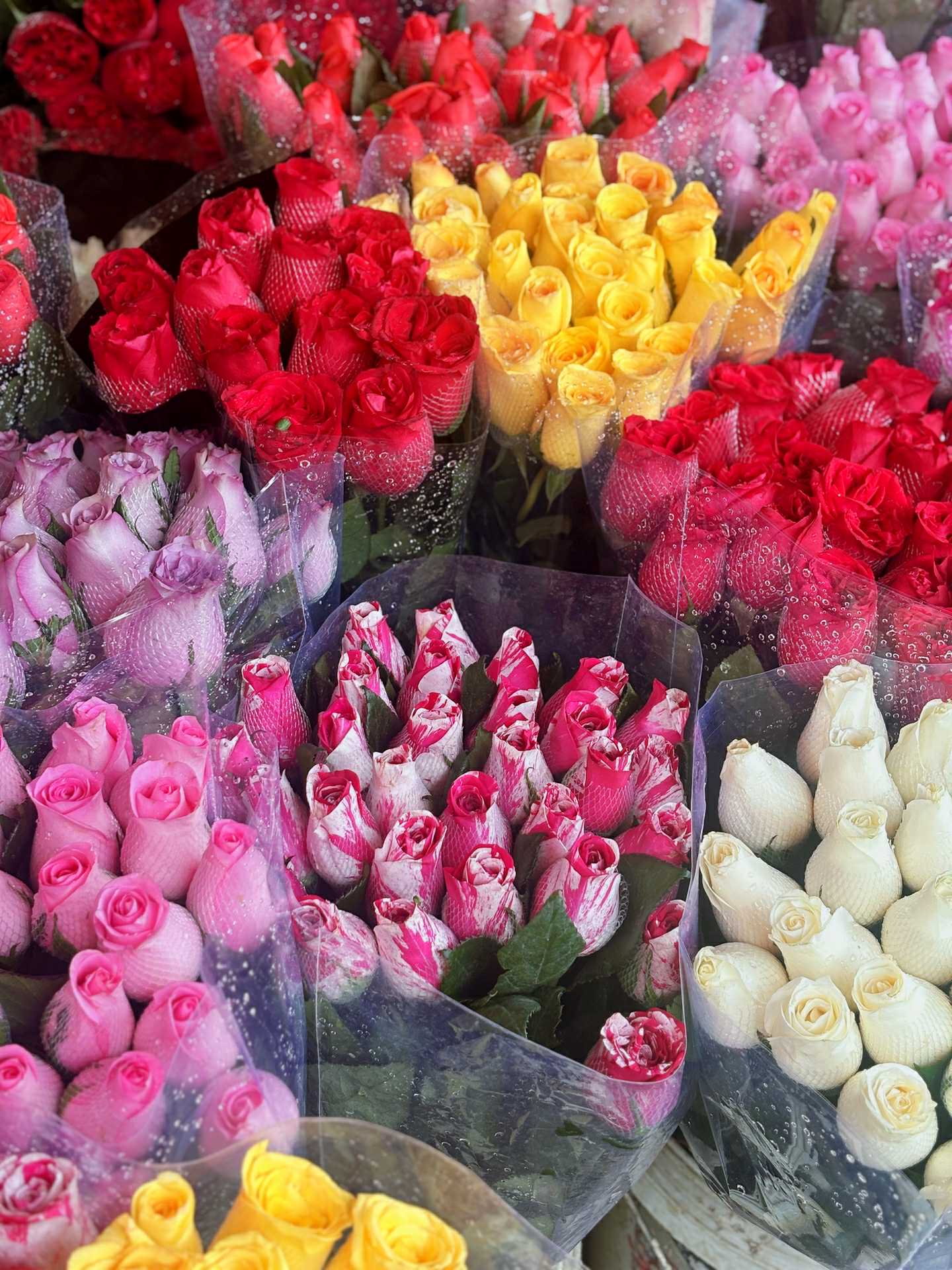 Cập nhật giá cả hoa ngày 28 Tết: Tuyết mai rẻ bất ngờ, cúc đẹp “đỉnh cao”, mộc lan trở thành hot trend - Ảnh 7