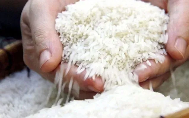 Gạo Thái Lan tăng giá mạnh, Việt Nam giữ đà ổn định - Ảnh 1