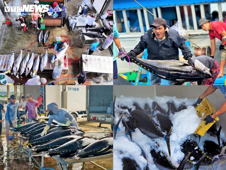 Cận cảnh cảng cá lớn nhất Gia Lai cần nạo vét khẩn cấp sau cơn lũ lịch sử - Ảnh 10