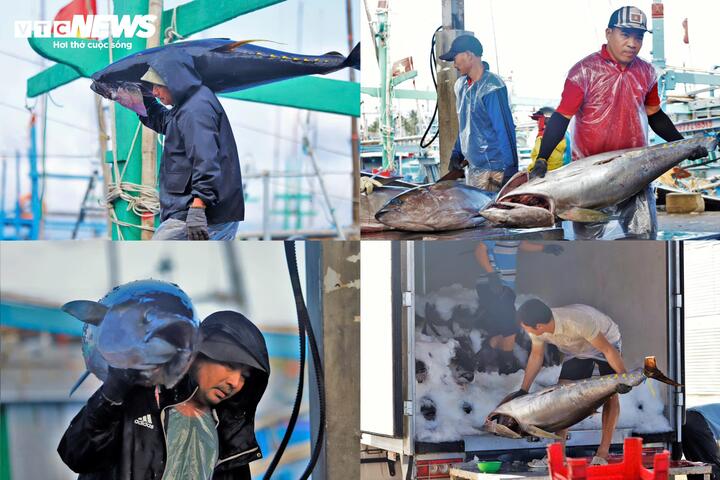 Cận cảnh cảng cá lớn nhất Gia Lai cần nạo vét khẩn cấp sau cơn lũ lịch sử - Ảnh 11