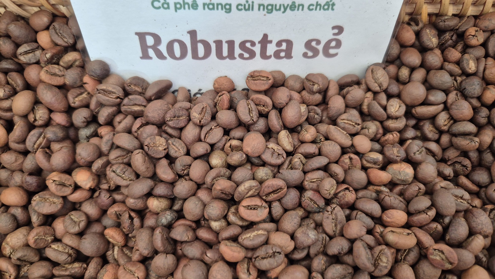 Giá cà phê hôm nay 16-2: Việt Nam là thị trường cung cấp thứ 3 cho Trung Quốc - Ảnh 1