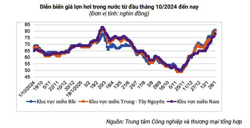 Cứ 100 đồng tài sản, Nông nghiệp Hòa Phát thu về 34 đồng lãi, hiệu suất "không đối thủ" khiến Dabaco và BAF phải hít khói - Ảnh 1